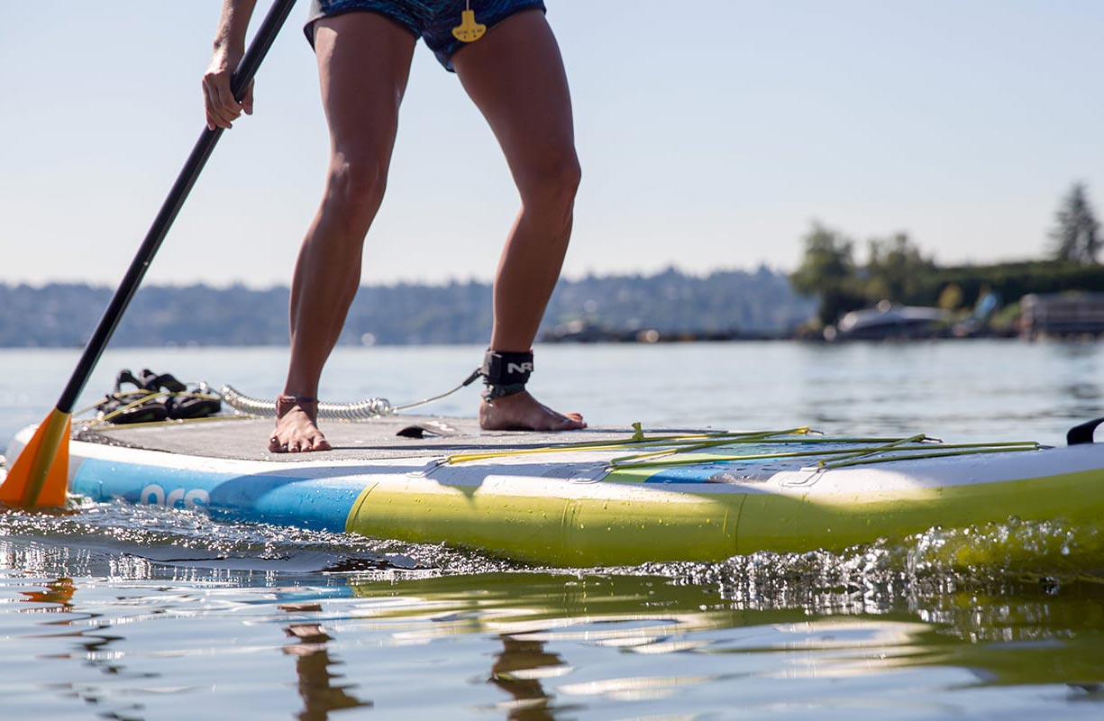 Surfing Lessons Kaikoura Paddle Boarding Sup Hire Surf Lessons Christchurch